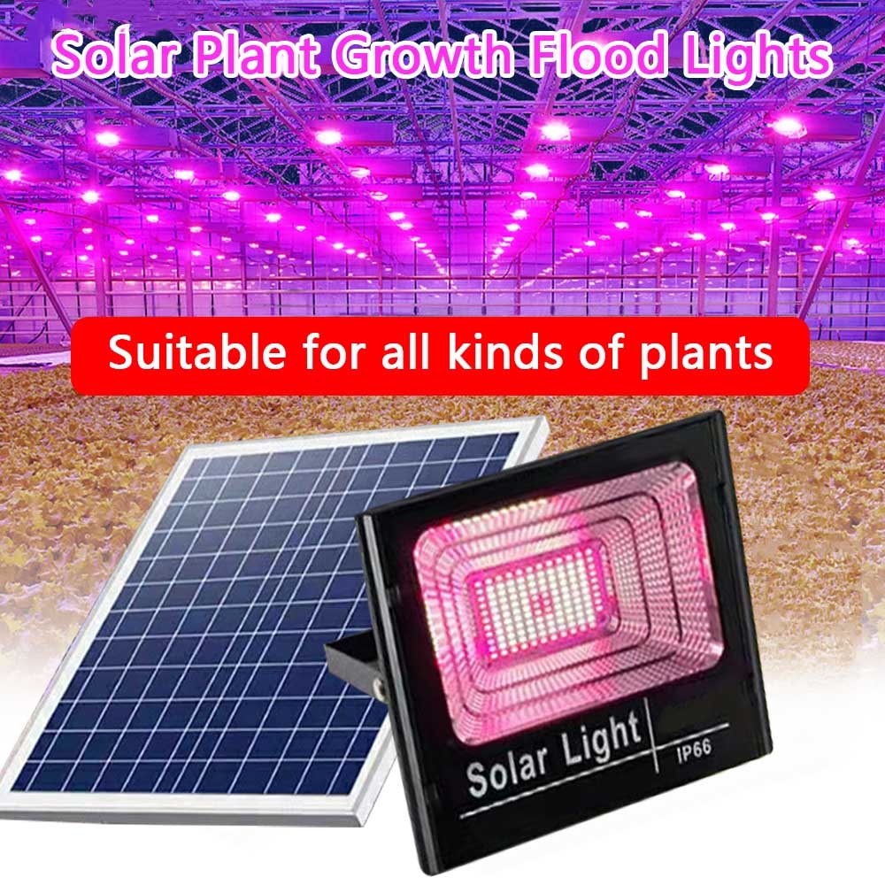 Solar LED Grow Light Full Spec - огляд і ціна Outdoor Power And Plant