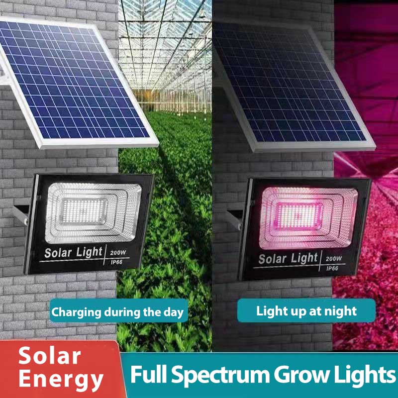 Solar LED Grow Light Full Spec - огляд і ціна Outdoor Power And Plant
