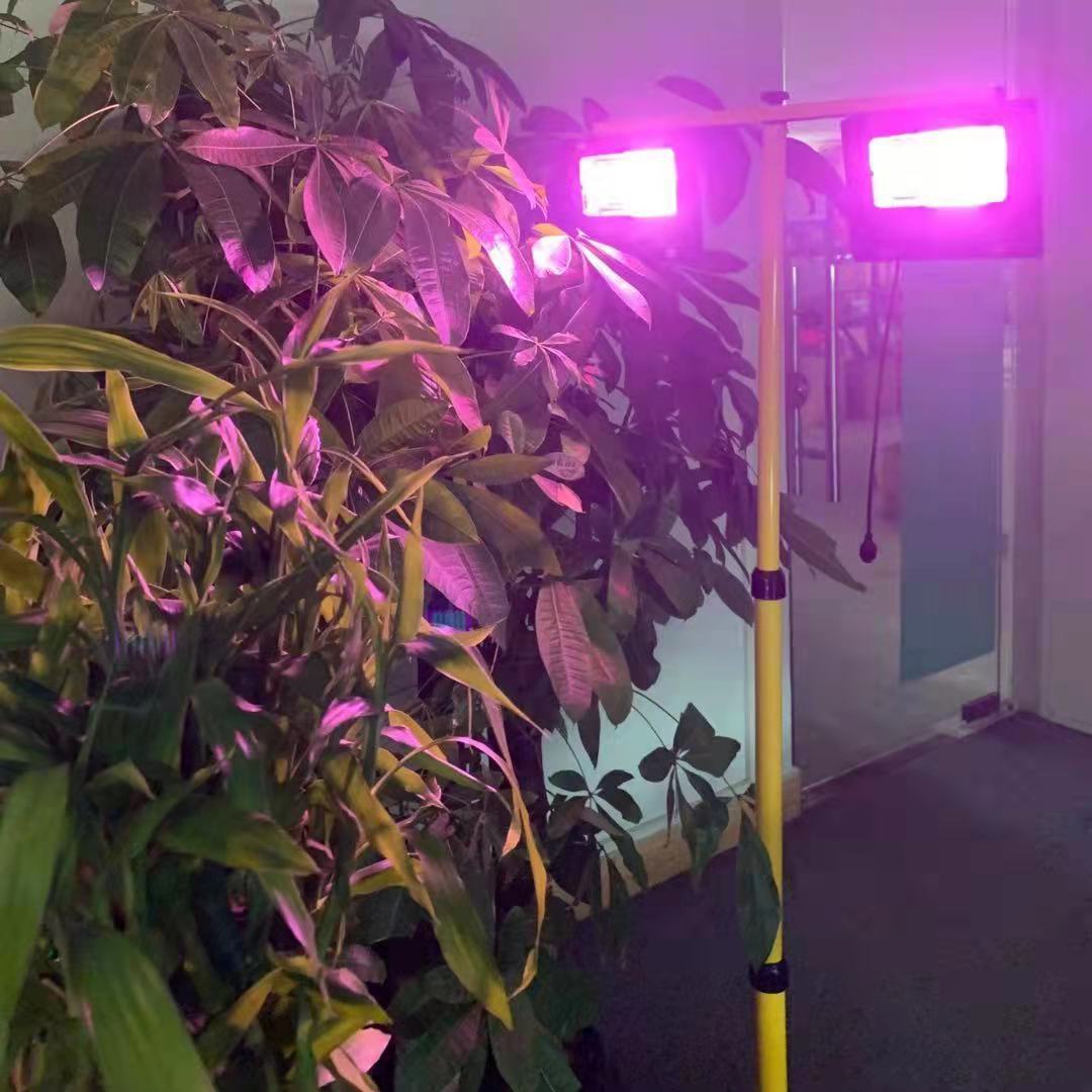 Solar LED Grow Light Full Spec - огляд і ціна Outdoor Power And Plant