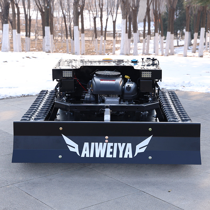 Customized Lawn Mower On Radio - огляд і ціна Outdoor Power Mowers