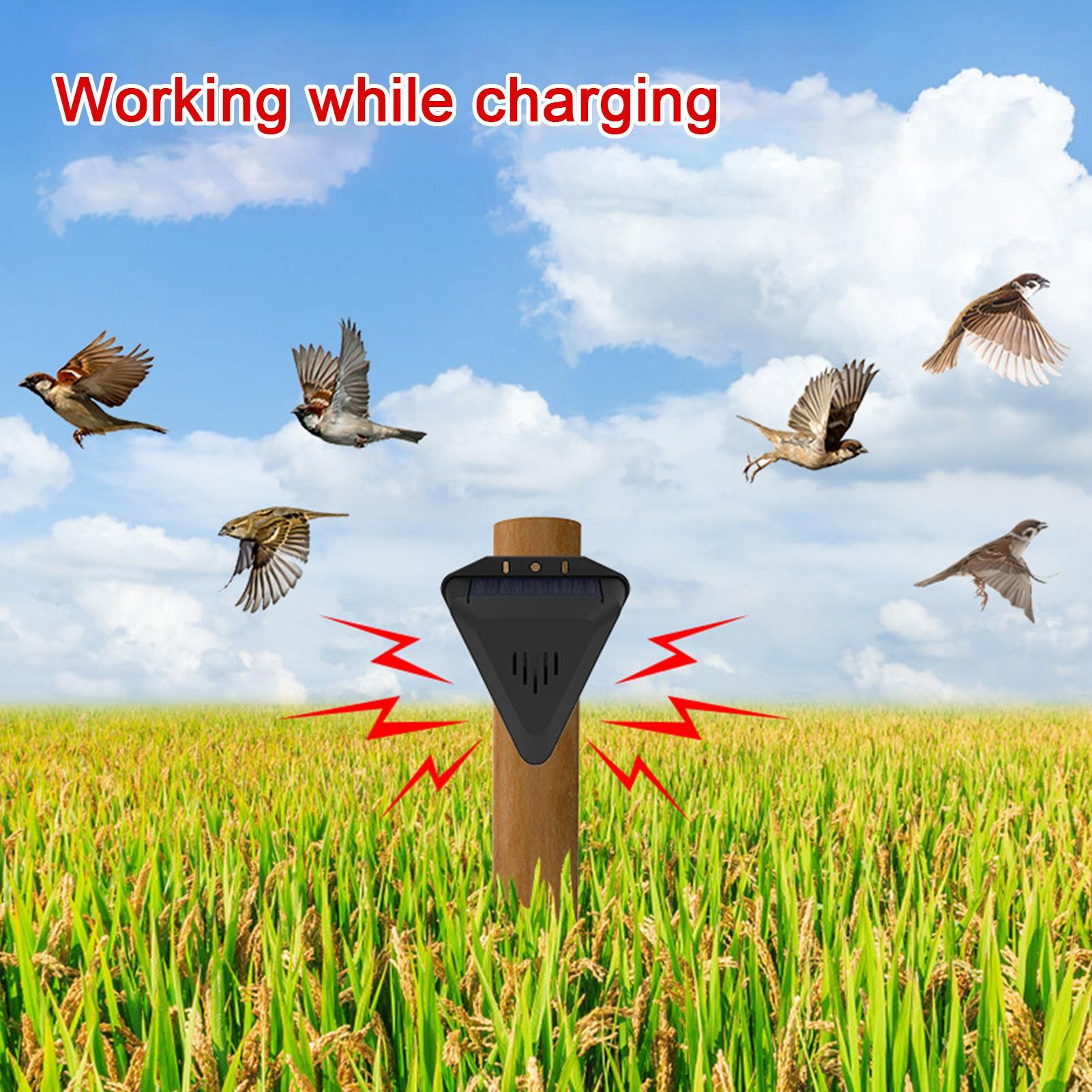 Solar Timer Bird Repeller With - огляд і ціна Outdoor Power With Timer