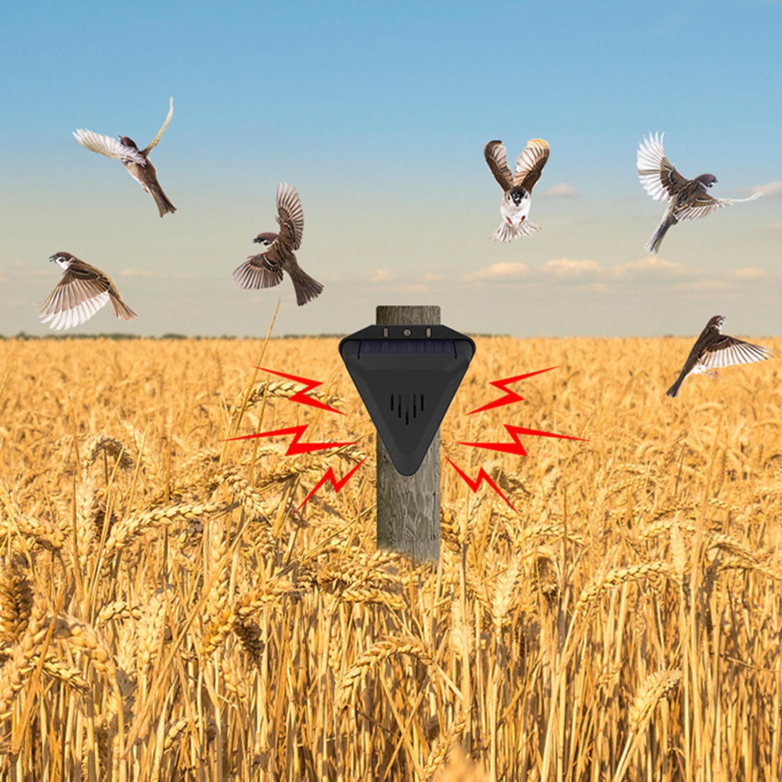 Solar Timer Bird Repeller With - огляд і ціна Outdoor Power With Timer