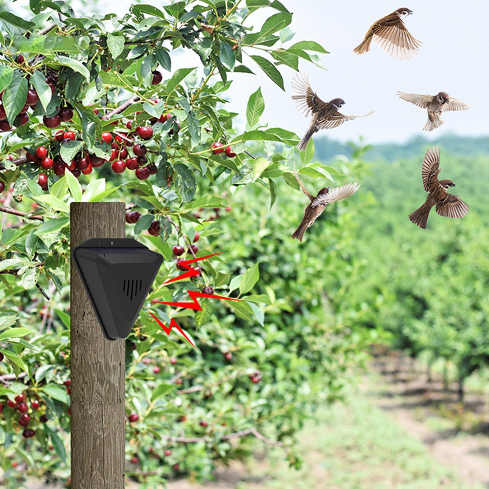 Solar Timer Bird Repeller With - огляд і ціна Outdoor Power With Timer